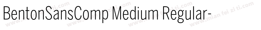 BentonSansComp Medium Regular字体转换